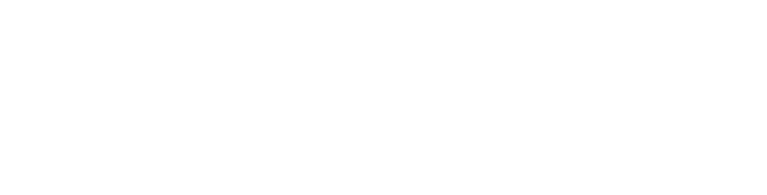Michael Hochstaffl GmbH Logo